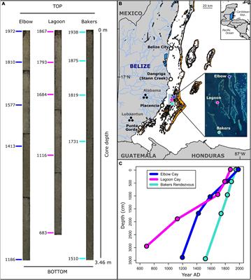 Historical declines in parrotfish on Belizean coral reefs linked to shifts in reef exploitation following European colonization